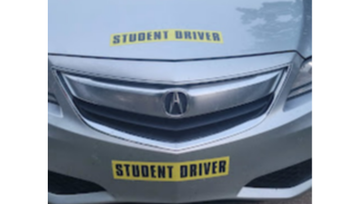 Michigan Driving Schools IN Roseville 48066