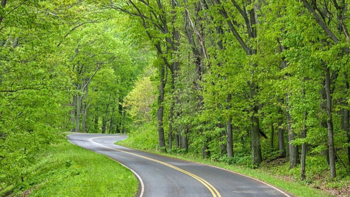 ADS cover photo 2022